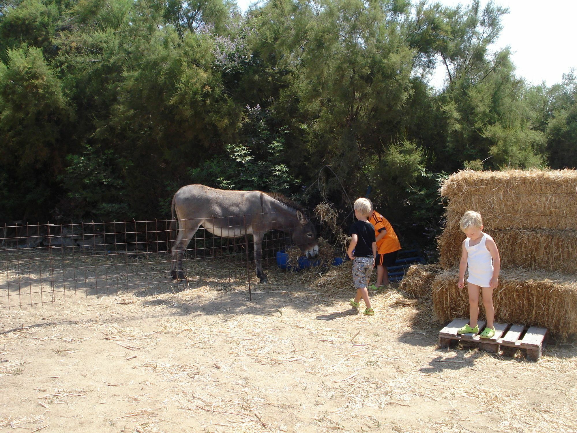 Agios Prokopios Hotel מראה חיצוני תמונה